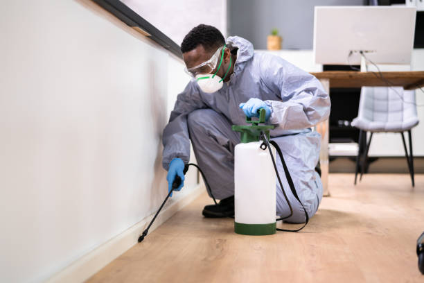 Best Bed Bug Extermination  in Jasmine Estates, FL